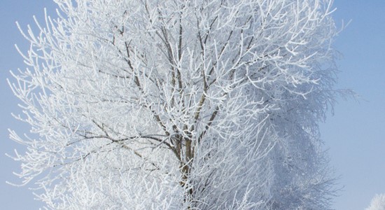Une peau bien soignée, même par temps glacial 
