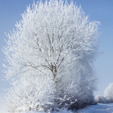 Gepflegte Haut - auch bei eisigen Temperaturen 