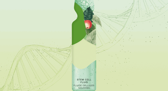 Ampulle des Monats: INTENSE - Stem Cell Fluid 