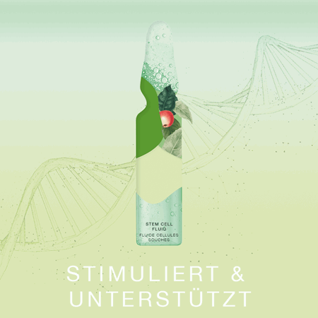 Ampulle des Monats: INTENSE - Stem Cell Fluid 