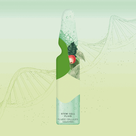 Regeneration & new elasticity