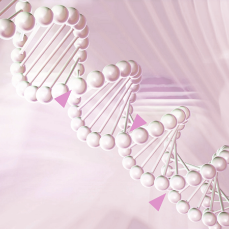 Le code épigénétique - la beauté redécryptée