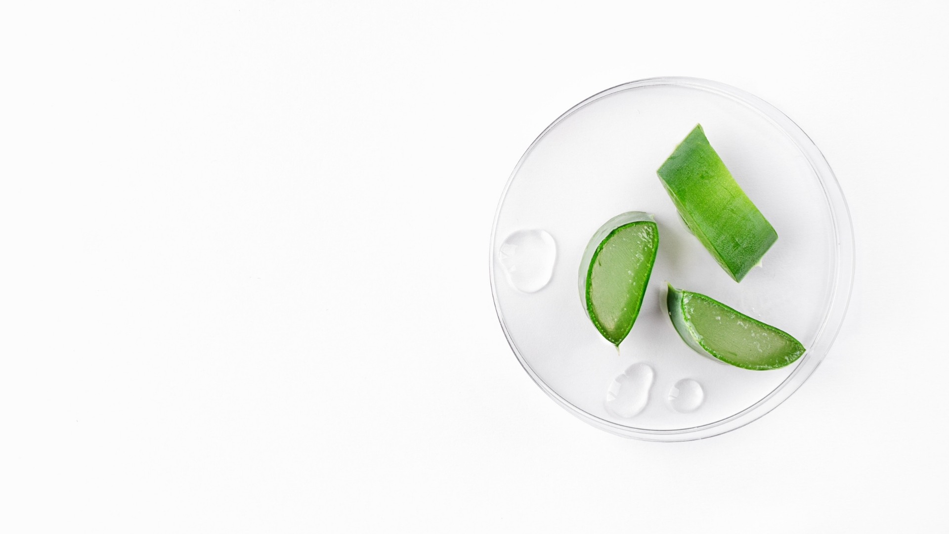 Aloe Vera Extrakt in der Hautpflege