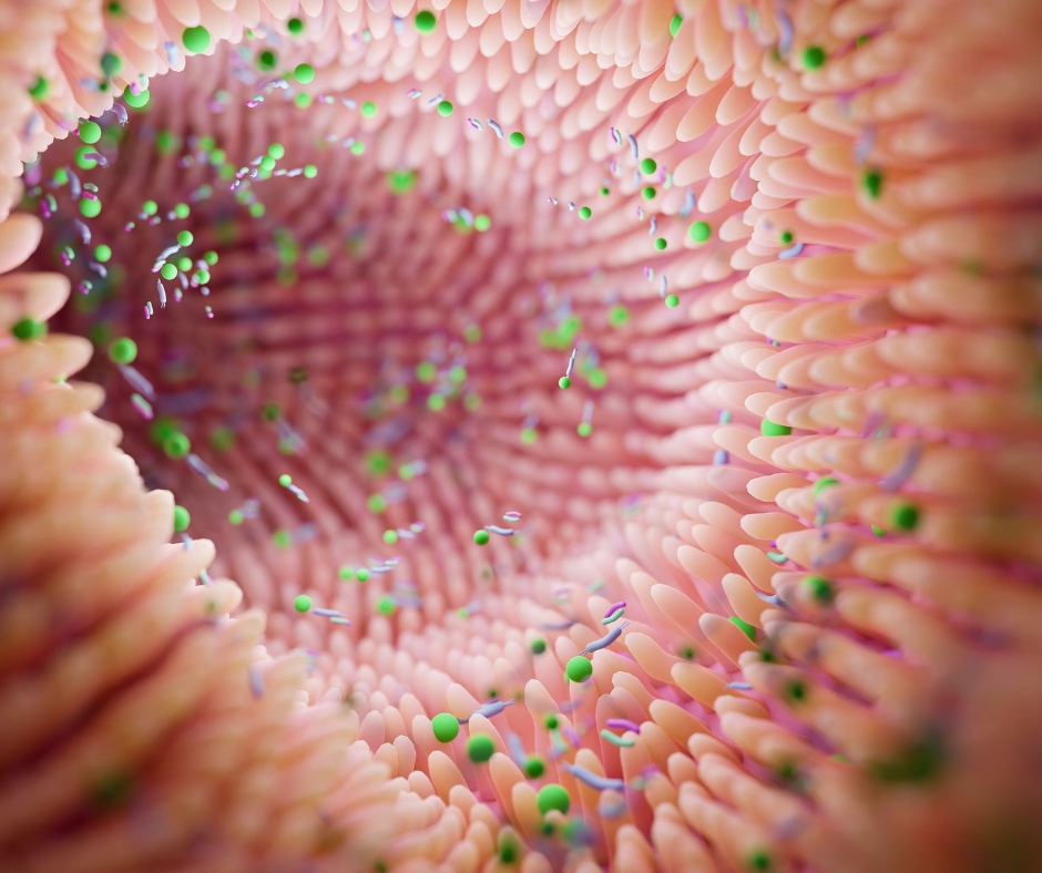 Mikrobiom der Haut, Visualisierung